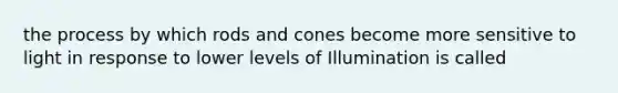 the process by which rods and cones become more sensitive to light in response to lower levels of Illumination is called