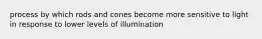 process by which rods and cones become more sensitive to light in response to lower levels of illumination