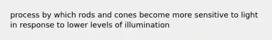 process by which rods and cones become more sensitive to light in response to lower levels of illumination