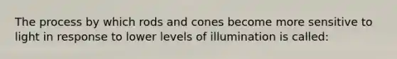 The process by which rods and cones become more sensitive to light in response to lower levels of illumination is called: