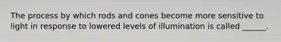 The process by which rods and cones become more sensitive to light in response to lowered levels of illumination is called ______.