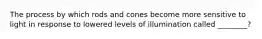 The process by which rods and cones become more sensitive to light in response to lowered levels of illumination called ________?