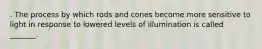 . The process by which rods and cones become more sensitive to light in response to lowered levels of illumination is called _______.