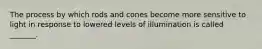 The process by which rods and cones become more sensitive to light in response to lowered levels of illumination is called _______.