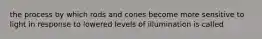 the process by which rods and cones become more sensitive to light in response to lowered levels of illumination is called