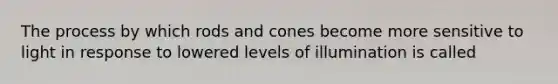 The process by which rods and cones become more sensitive to light in response to lowered levels of illumination is called