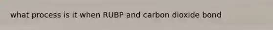 what process is it when RUBP and carbon dioxide bond