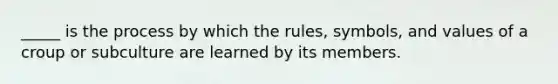 _____ is the process by which the rules, symbols, and values of a croup or subculture are learned by its members.