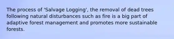 The process of 'Salvage Logging', the removal of dead trees following natural disturbances such as fire is a big part of adaptive forest management and promotes more sustainable forests.