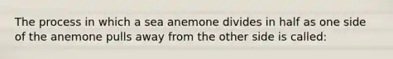 The process in which a sea anemone divides in half as one side of the anemone pulls away from the other side is called: