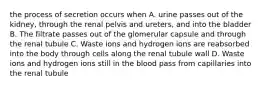 the process of secretion occurs when A. urine passes out of the kidney, through the renal pelvis and ureters, and into the bladder B. The filtrate passes out of the glomerular capsule and through the renal tubule C. Waste ions and hydrogen ions are reabsorbed into the body through cells along the renal tubule wall D. Waste ions and hydrogen ions still in the blood pass from capillaries into the renal tubule