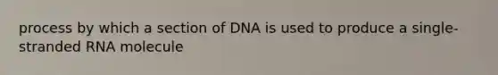 process by which a section of DNA is used to produce a single-stranded RNA molecule