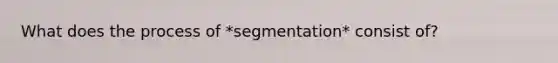 What does the process of *segmentation* consist of?