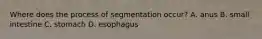 Where does the process of segmentation occur? A. anus B. small intestine C. stomach D. esophagus