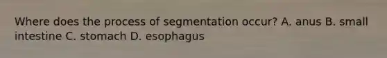 Where does the process of segmentation occur? A. anus B. small intestine C. stomach D. esophagus