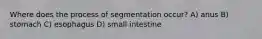 Where does the process of segmentation occur? A) anus B) stomach C) esophagus D) small intestine