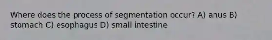 Where does the process of segmentation occur? A) anus B) stomach C) esophagus D) small intestine