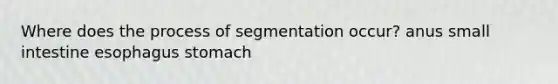 Where does the process of segmentation occur? anus small intestine esophagus stomach