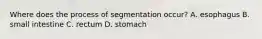 Where does the process of segmentation occur? A. esophagus B. small intestine C. rectum D. stomach