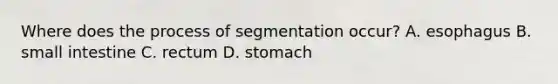 Where does the process of segmentation occur? A. esophagus B. small intestine C. rectum D. stomach