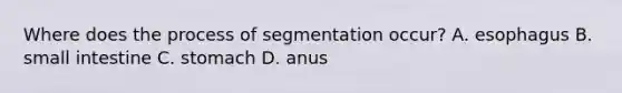 Where does the process of segmentation occur? A. esophagus B. small intestine C. stomach D. anus