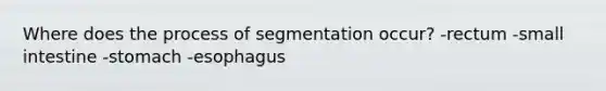 Where does the process of segmentation occur? -rectum -small intestine -stomach -esophagus