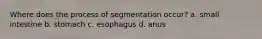 Where does the process of segmentation occur? a. small intestine b. stomach c. esophagus d. anus