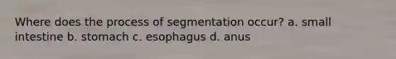 Where does the process of segmentation occur? a. small intestine b. stomach c. esophagus d. anus