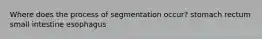 Where does the process of segmentation occur? stomach rectum small intestine esophagus
