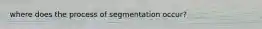 where does the process of segmentation occur?