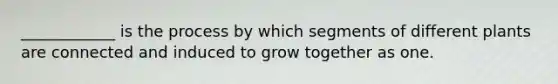 ____________ is the process by which segments of different plants are connected and induced to grow together as one.