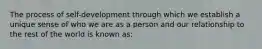 The process of self-development through which we establish a unique sense of who we are as a person and our relationship to the rest of the world is known as: