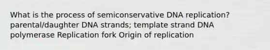 What is the process of semiconservative DNA replication? parental/daughter DNA strands; template strand DNA polymerase Replication fork Origin of replication