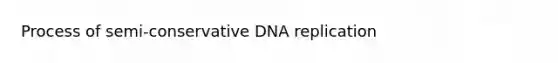 Process of semi-conservative DNA replication