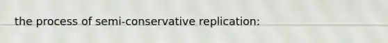 the process of semi-conservative replication: