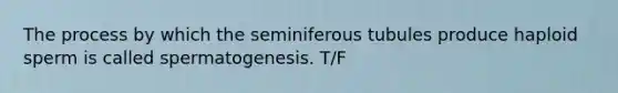 The process by which the seminiferous tubules produce haploid sperm is called spermatogenesis. T/F