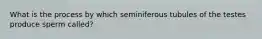 What is the process by which seminiferous tubules of the testes produce sperm called?