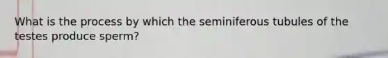 What is the process by which the seminiferous tubules of the testes produce sperm?