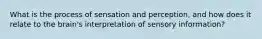 What is the process of sensation and perception, and how does it relate to the brain's interpretation of sensory information?