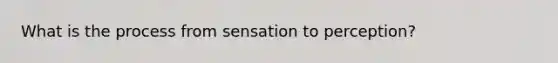 What is the process from sensation to perception?