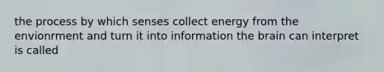 the process by which senses collect energy from the envionrment and turn it into information the brain can interpret is called