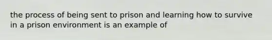 the process of being sent to prison and learning how to survive in a prison environment is an example of