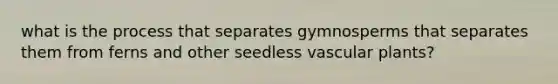 what is the process that separates gymnosperms that separates them from ferns and other seedless vascular plants?