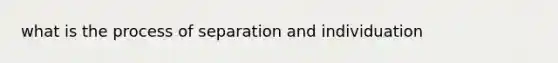 what is the process of separation and individuation