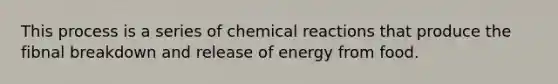 This process is a series of <a href='https://www.questionai.com/knowledge/kc6NTom4Ep-chemical-reactions' class='anchor-knowledge'>chemical reactions</a> that produce the fibnal breakdown and release of energy from food.