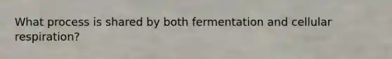 What process is shared by both fermentation and cellular respiration?