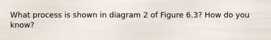 What process is shown in diagram 2 of Figure 6.3? How do you know?