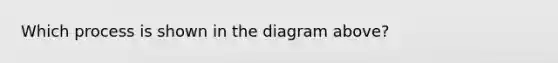 Which process is shown in the diagram above?