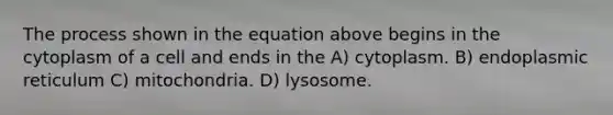 The process shown in the equation above begins in the cytoplasm of a cell and ends in the A) cytoplasm. B) endoplasmic reticulum C) mitochondria. D) lysosome.