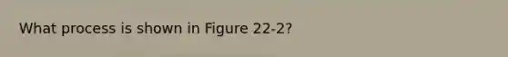 What process is shown in Figure 22-2?